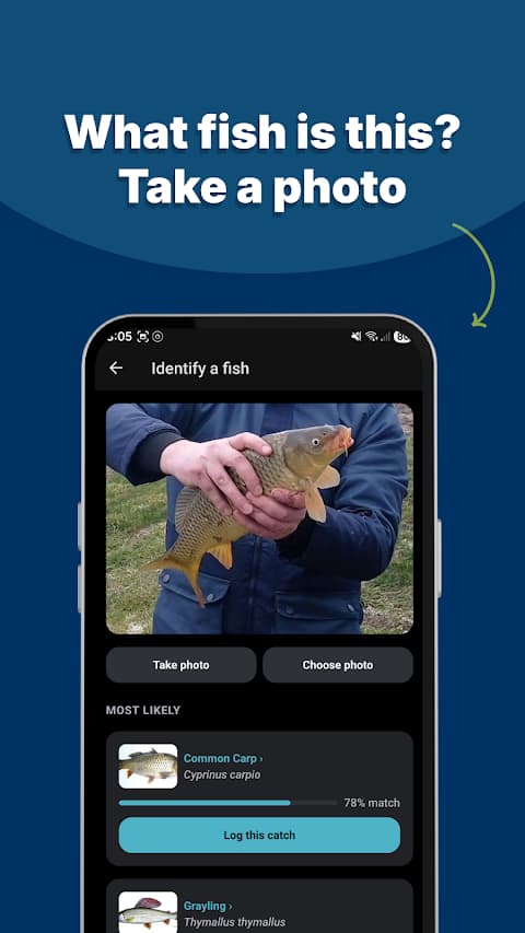 AI fish identification screen recognising a common carp from a photo