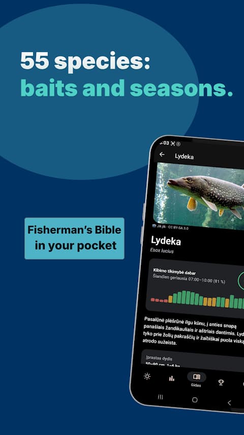 Fish guide page for pike with bite times, baits and seasons